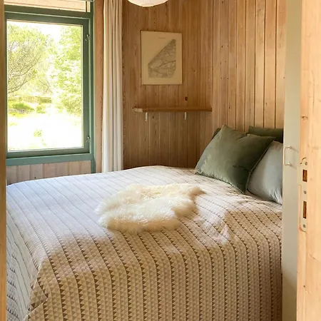 Settle In Dunes And Near * سكاغن