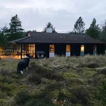 Settle In Dunes And Near Skagen
