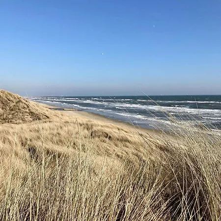 Settle In Dunes And Near Holiday home Skagen