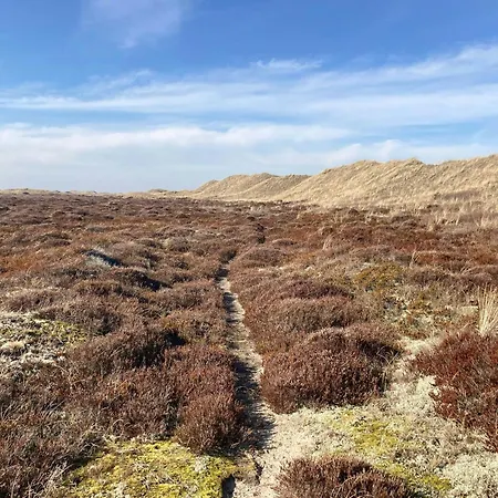 Settle In Dunes And Near Holiday home Skagen