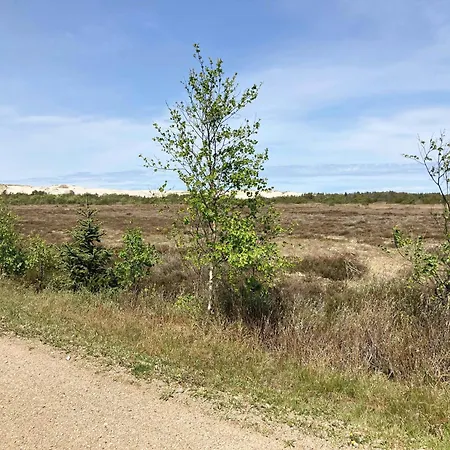 Settle In Dunes And Near Skagen